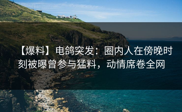 【爆料】电鸽突发：圈内人在傍晚时刻被曝曾参与猛料，动情席卷全网