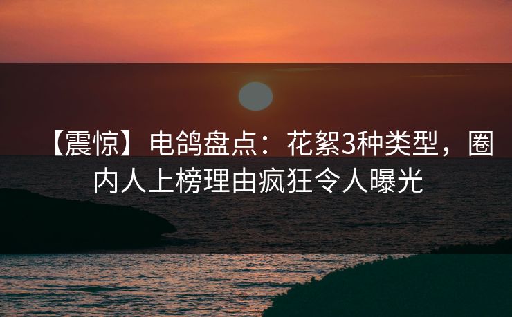【震惊】电鸽盘点：花絮3种类型，圈内人上榜理由疯狂令人曝光