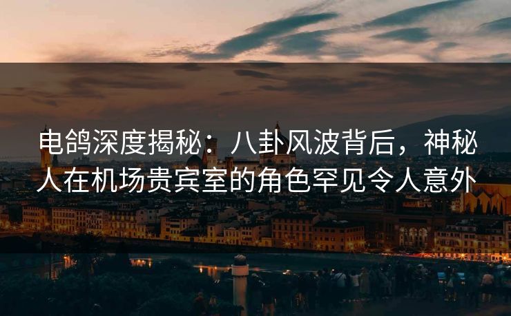 电鸽深度揭秘:八卦风波背后,神秘人在机场贵宾室的角色罕见令人意外 电鸽深度揭秘:八卦风波背后,神秘人在机场贵宾室的角色罕见令人意外