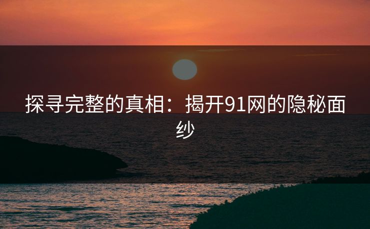 探寻完整的真相：揭开91网的隐秘面纱